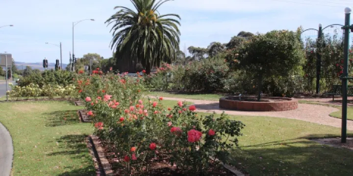 Morwell Centenary Rose Garden