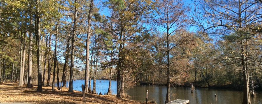 Chemin-A-Haut State Park