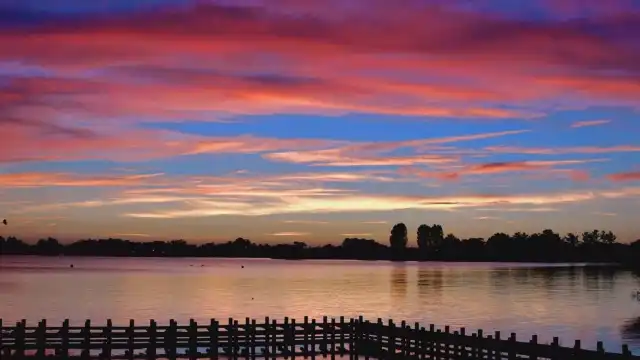 鄰近木場瀉公園的酒店