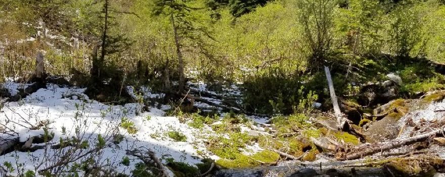 East Kootenay E