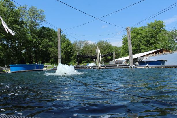 Freshwater Farms of Ohio