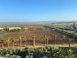 Chateau Roslane