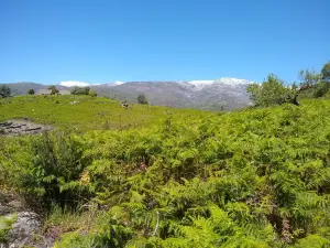 Castro Celta de El Raso