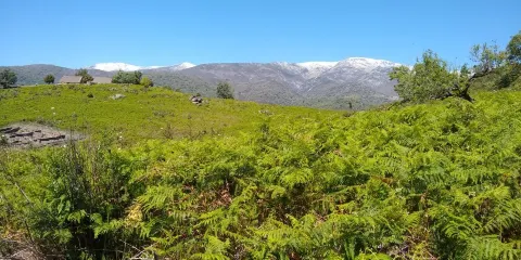 Castro Celta de El Raso