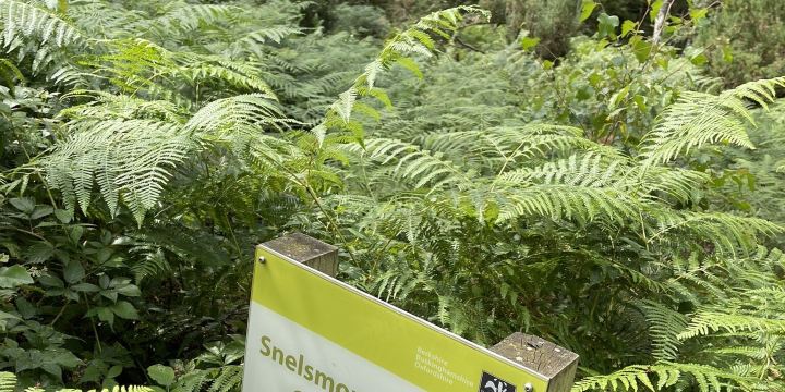 Snelsmore Common Country Park