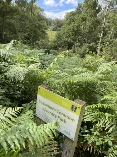 Snelsmore Common Country Park