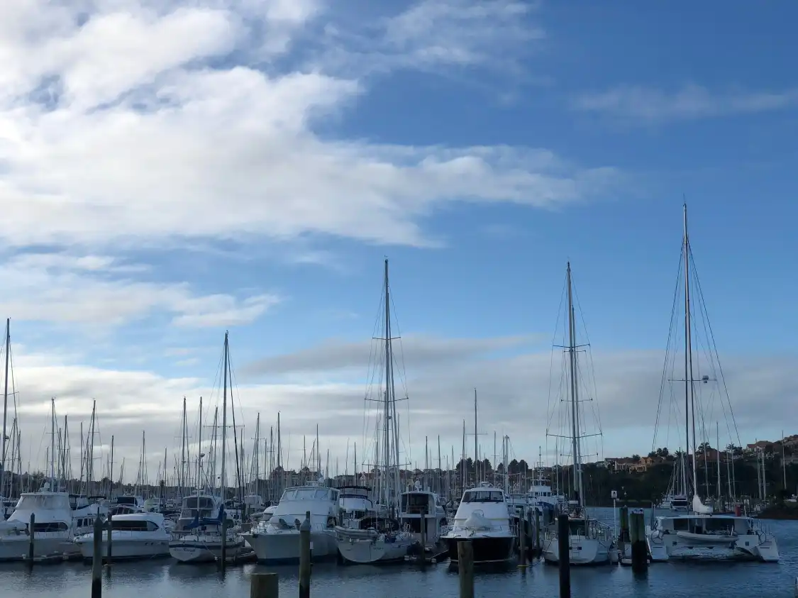 Hotels near Gulf Harbour Marina