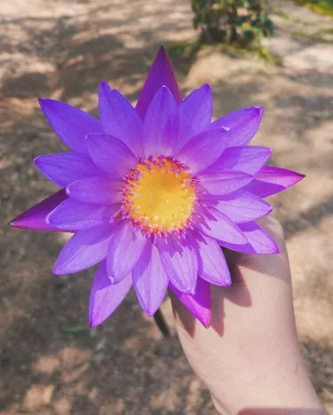 Kamalganj Upazila