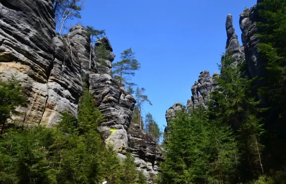 梅圖耶河畔特普利採