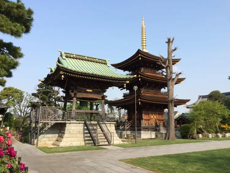 Warabi
