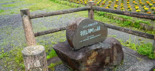 Hotels in Tenei