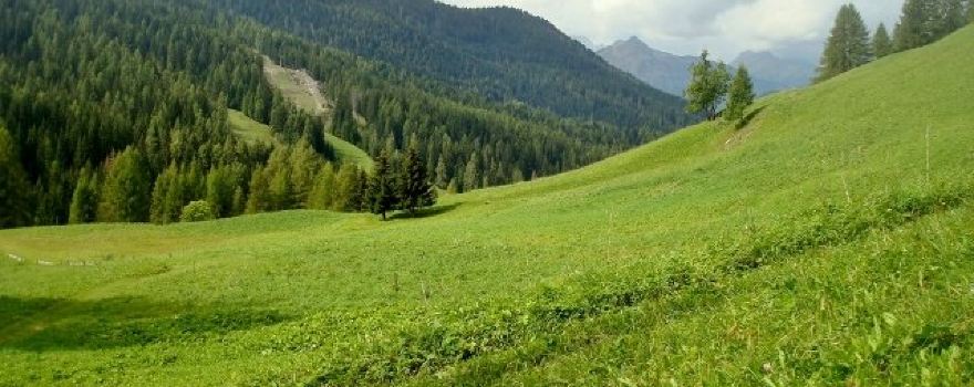 Passeggiata da Pescul al Rifugio Aquileia