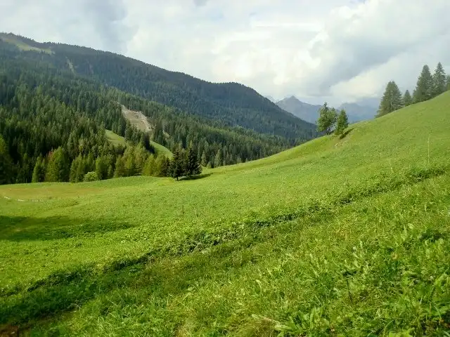 Hotels in Selva di Cadore