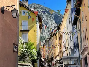 Cite Vauban