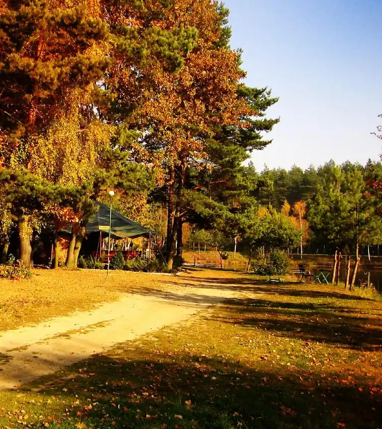 Hotels in Rybnicki