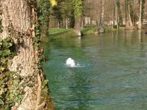 Parc des Iles