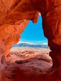 Mesquite