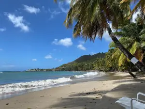 Laborie Beach