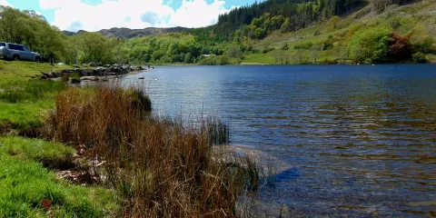 Llyn Geirionydd