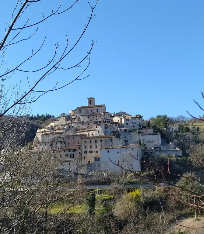Palazzo
