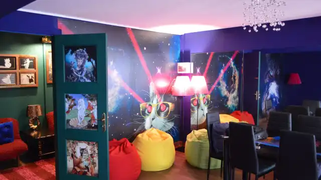 Hotels near Cats Story