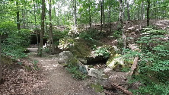 Deer Lick Cave