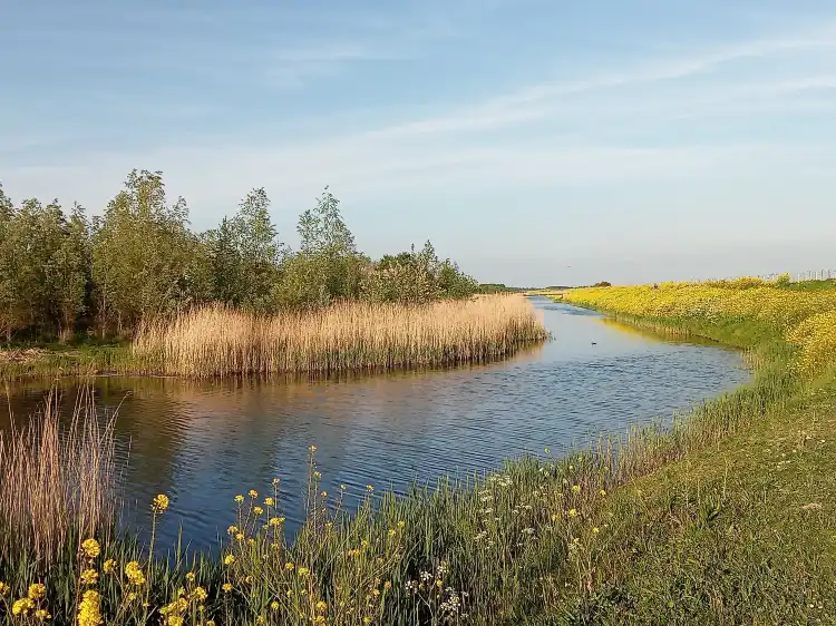 Hôtels à : Zuidplas