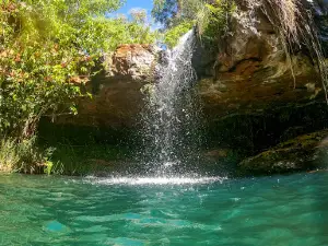 Fern Pool