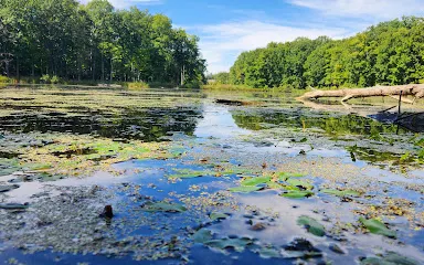 Seneca ponds