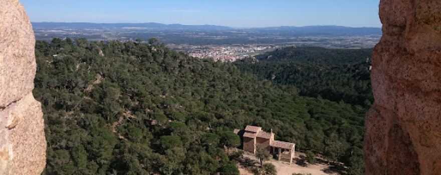 Jardí Fust