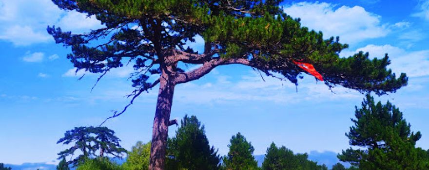 Abdullah Plateau Nature Park