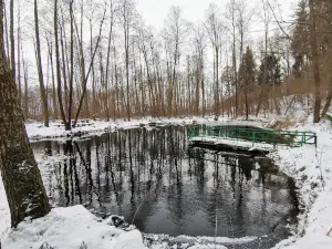 Svyate Dzherelo "Synya Krynytsya"