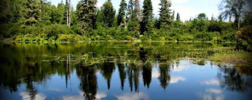 Granite Ridge Campground