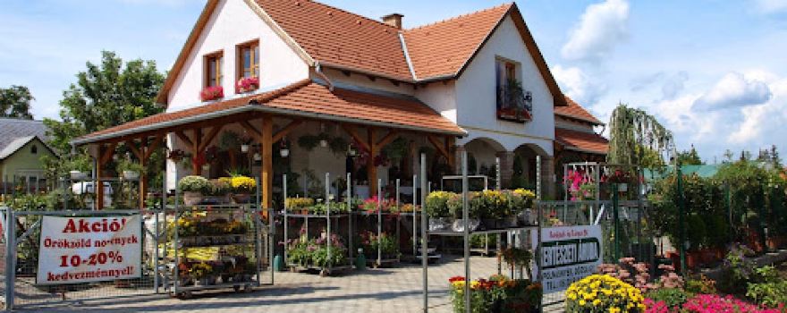 Sarkadi Gardening & Co.