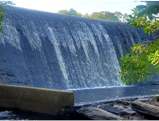 Thagard Lake Park