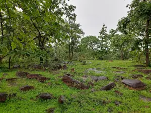 Paritosh's Paradise 5 step waterfall