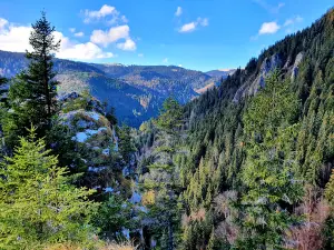 Rock's Valley Ravine