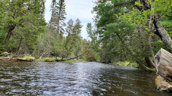 Burton's Canoe & Kayak Landing