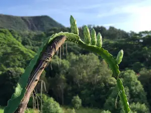 L'Oasis Des Possibles : Stages, Retraites et Gîte - Déconnexion en nature