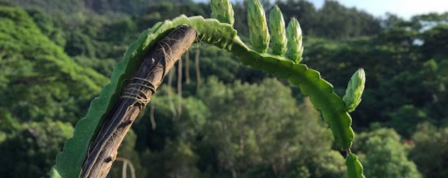 L'oasis Des Possibles : Stages, Retraites Et Gîte - Déconnexion En Nature