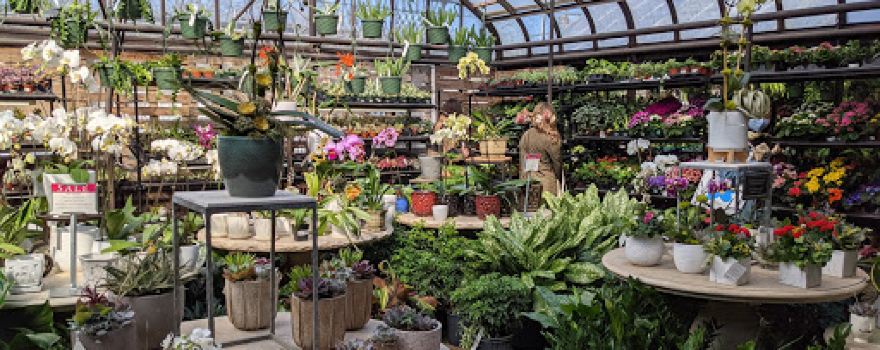 Chalet Garden Nursery