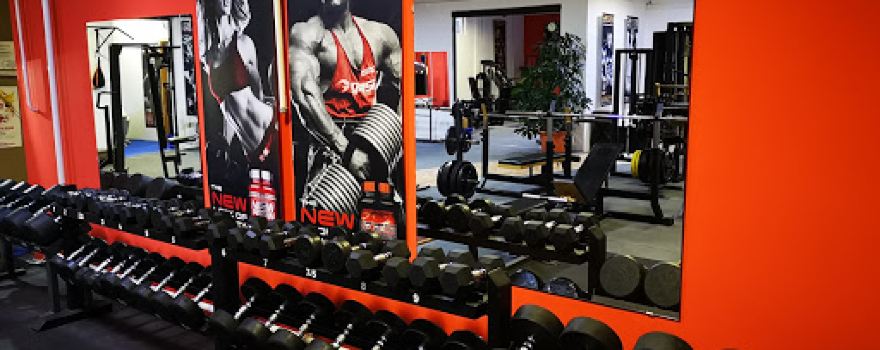 Force Fitness