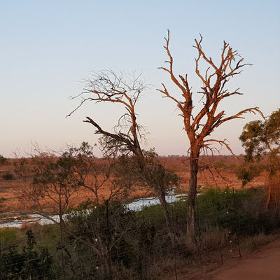 Jackalberry Viewpoint