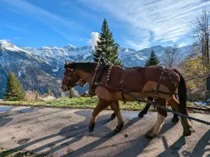 Braunwald-Standseilbahn AG