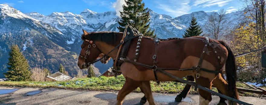 Braunwald-Standseilbahn AG