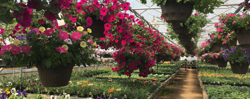 Ennenga's Garden Center