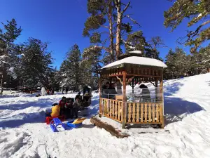 Gerede Esentepe Recreation Park