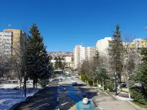 Central Park Municipal