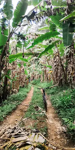 Refúgio de vida silvestre de Itapema