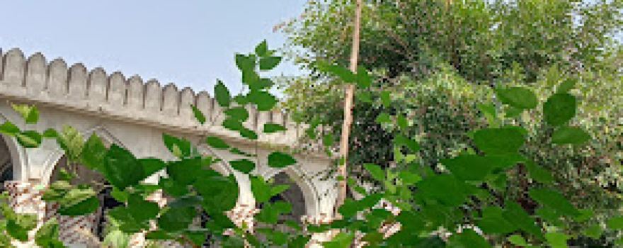 Sherpur Masjid